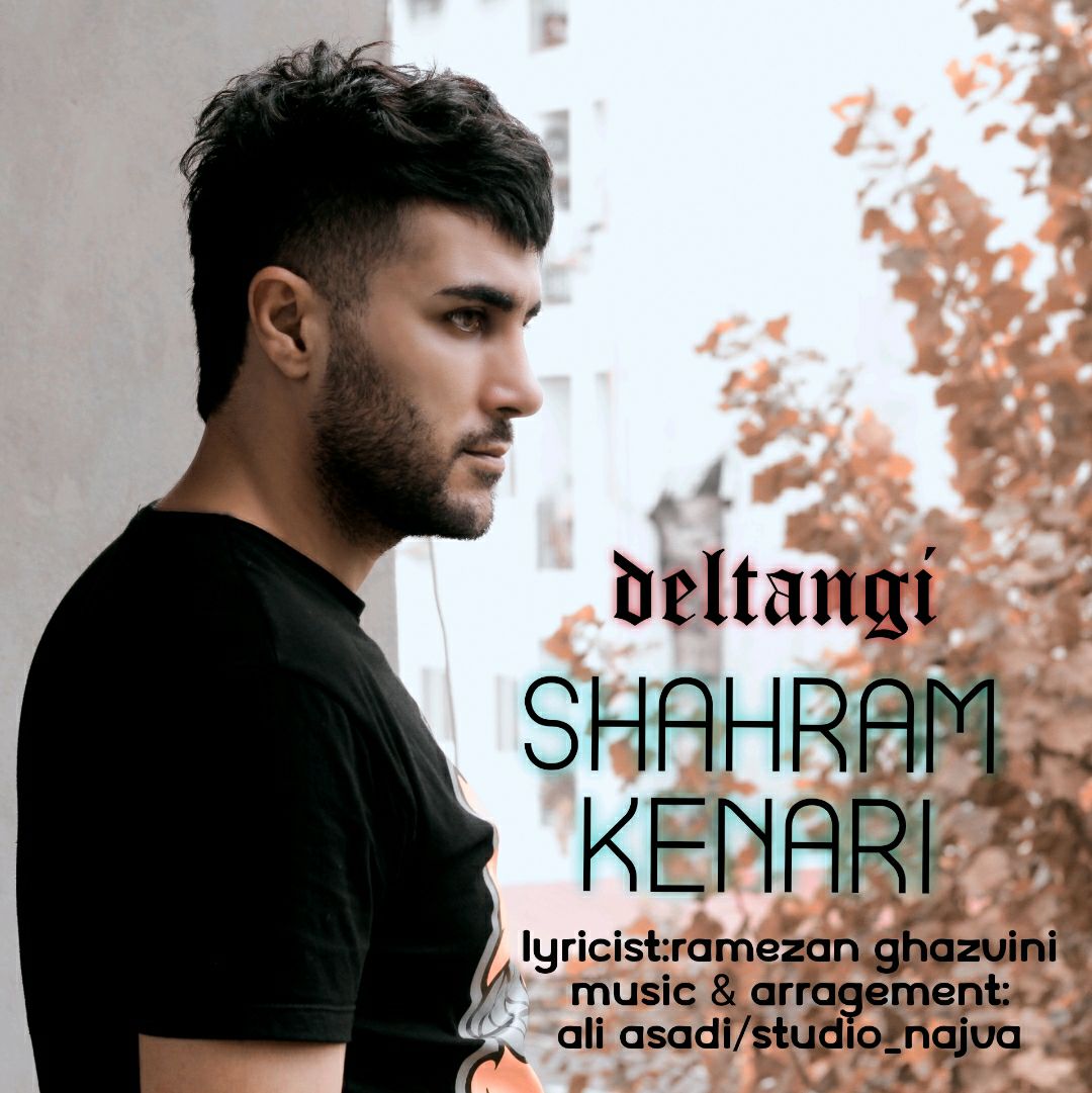 شهرام کناری دلتنگی